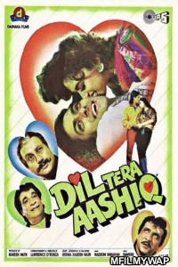 Dil Tera Aashiq (1993) Bollywood Hindi Movies