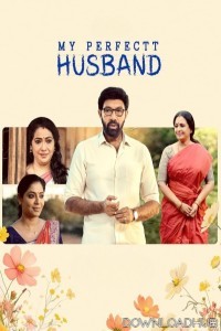 My Perfectt Husband (2024) Season 1 Hindi Web Series